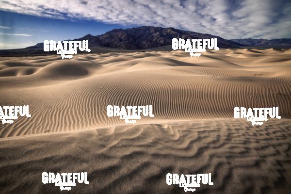 Mesquite Sand Dunes in Death Valley 30