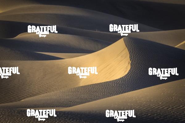 Mesquite Sand Dunes in Death Valley 32