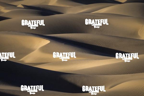 Mesquite Sand Dunes in Death Valley 33