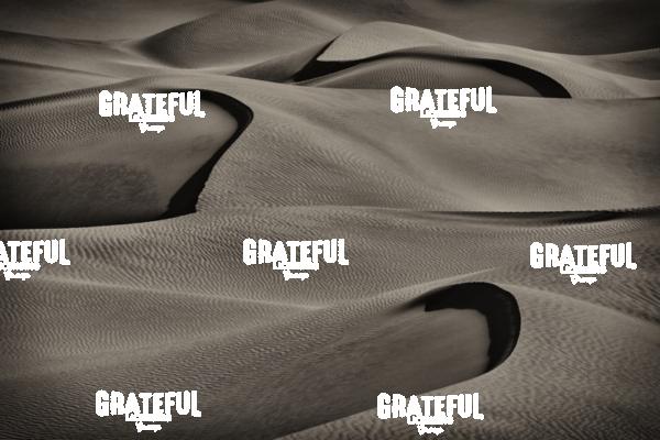 mesquite sand dunes sunrise 40