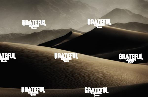 Mesquite sand dunes in Death Valley 12