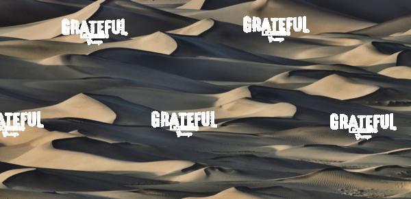 Mesquite sand dunes in death valley 16