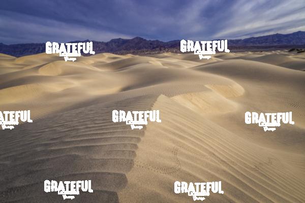 Mesquite Sand Dunes in Death Valley 29