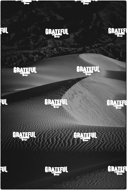 Mesquite Sand Dunes in Death Valley 28