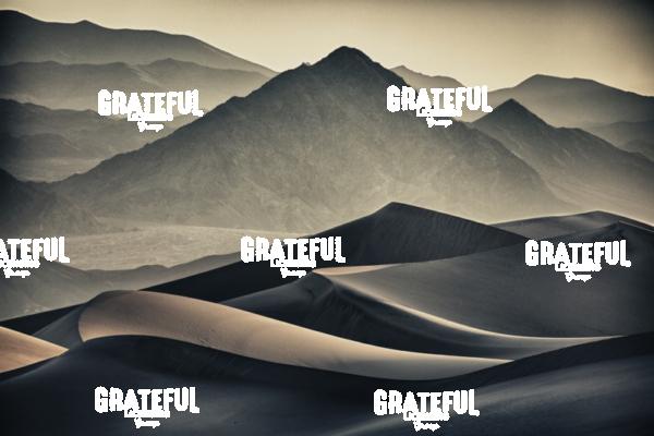 Mesquite sand dunes in Death Valley