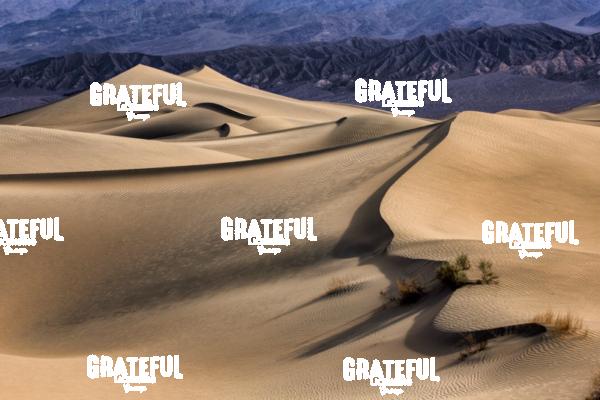 mesquite sand dunes sunrise 36