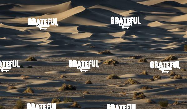 mesquite sand dunes sunrise 22