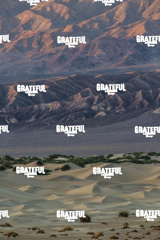 mesquite sand dunes sunrise 23