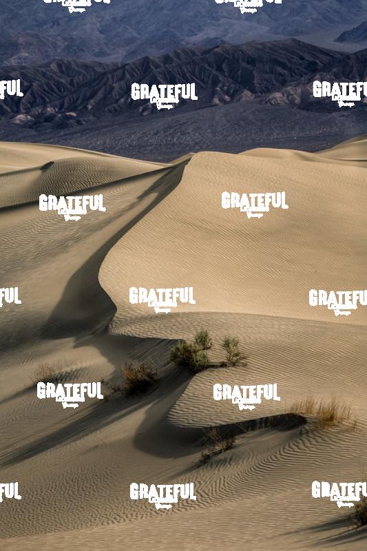 mesquite sand dunes sunrise 37