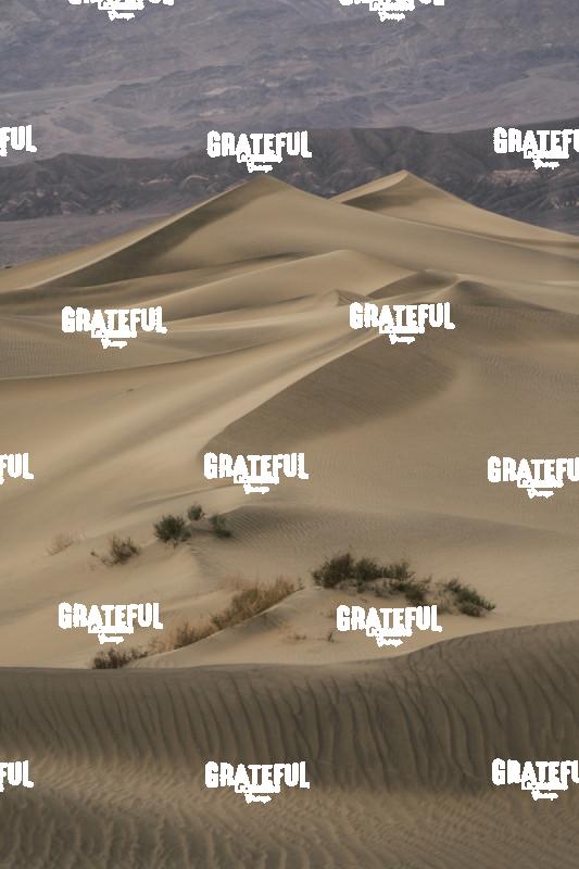 mesquite sand dunes sunrise 21
