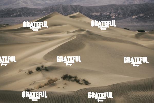 mesquite sand dunes sunrise 20