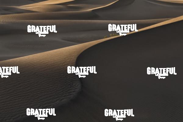 mesquite sand dunes sunrise 27