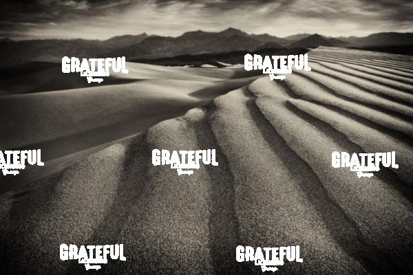 mesquite sand dunes in death valley 8