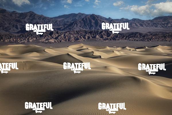 Sunrise at the Mesquite Sand Dunes at Death Valley National Park 16
