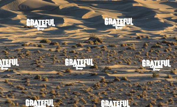 The amazing Mesquite Sand Dunes at Death Valley National Park 20