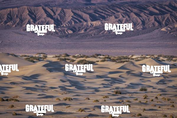 The Mesquite sand dunes in Death Valley 2