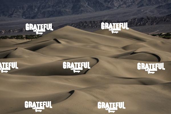 mesquite sand dunes sunrise 41