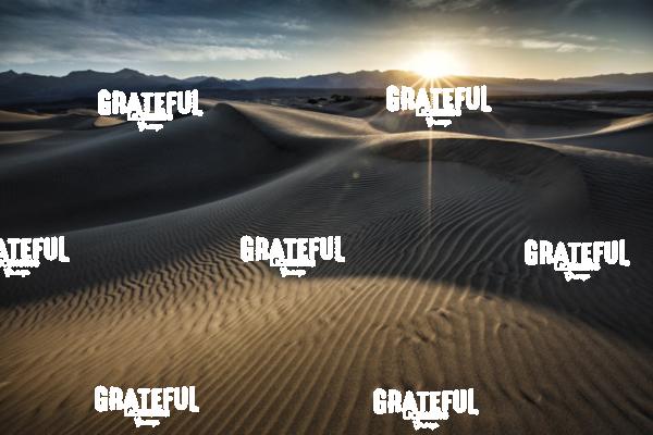 mesquite sand dunes sunrise 43