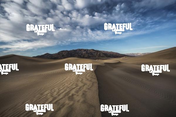 mesquite sand dunes sunrise 44