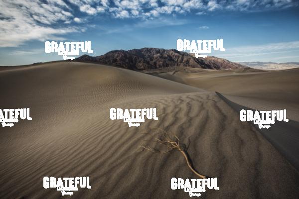 mesquite sand dunes sunrise 46