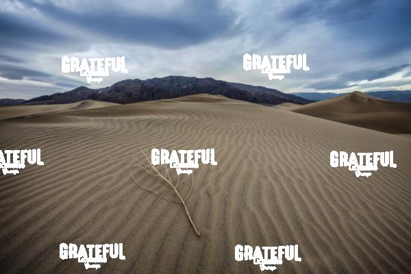 mesquite sand dunes sunrise 49