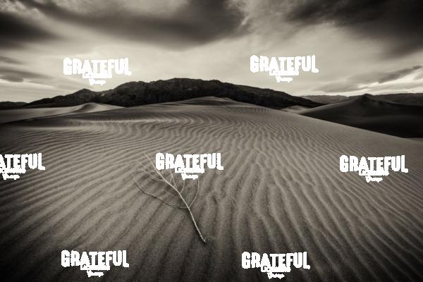 mesquite sand dunes sunrise 50