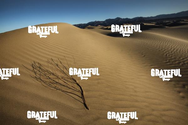 mesquite sand dunes sunrise