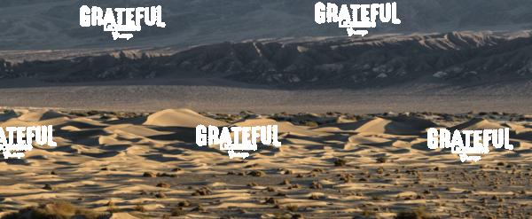 Panorama of the Mesquite Sand Dunes at Death Valley National Park