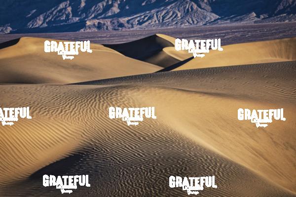 Sunrise at the Mesquite Sand Dunes at Death Valley National Park 7
