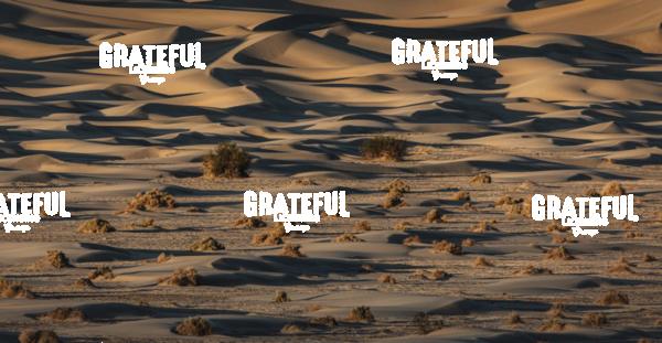Sunrise at the Mesquite Sand Dunes at Death Valley National Park 11