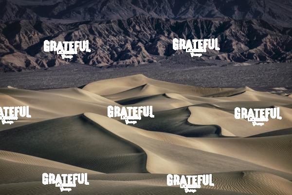 Sunrise at the Mesquite Sand Dunes at Death Valley National Park 14