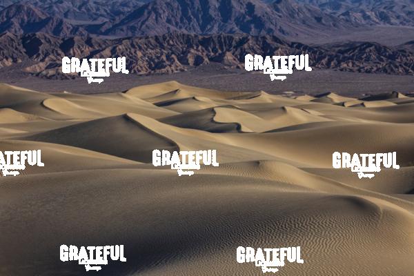 Sunrise at the Mesquite Sand Dunes at Death Valley National Park 15