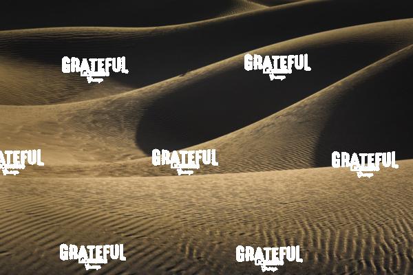 Sunrise over the Mesquite Sand Dunes in Death Valley National Park 3