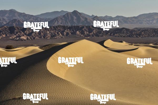 Sunrise over the Mesquite Sand Dunes in Death Valley National Park 7
