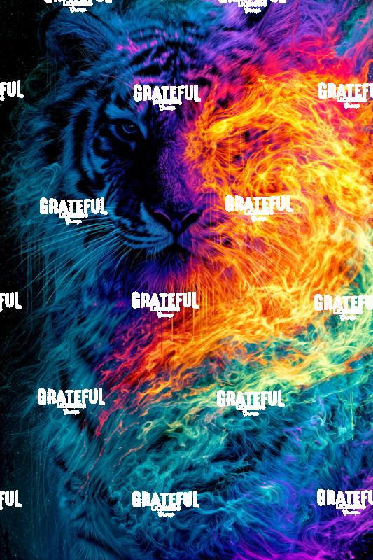 Tiger, Flame Tornado