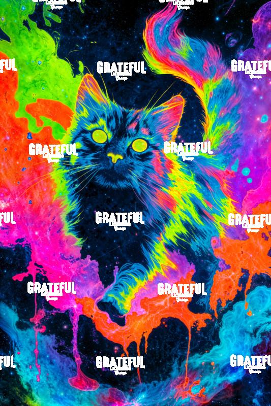 Maine Coon Cat, Melting Nebula
