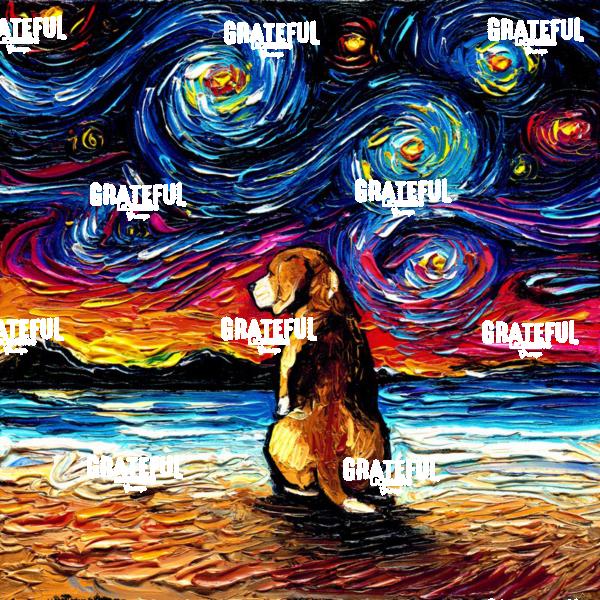 Beagle Night 2