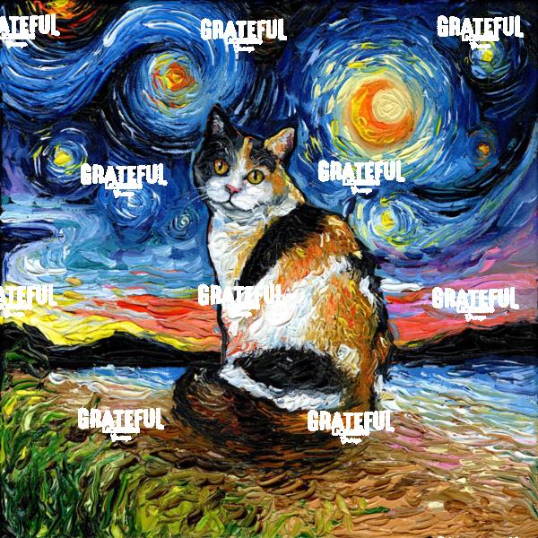 Calico Night