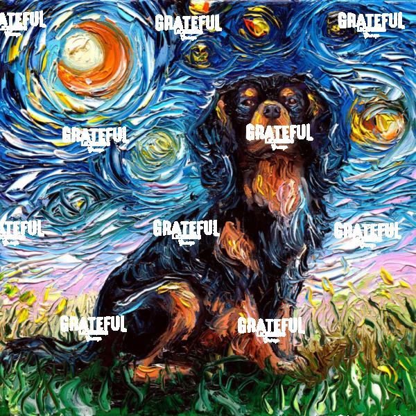 Black and Tan Cavalier King Charles Spaniel