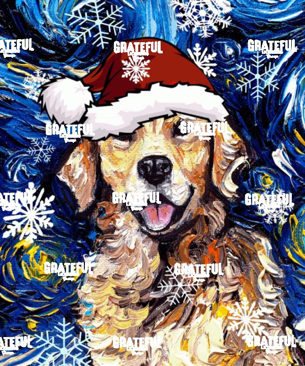 Santa Retreiver