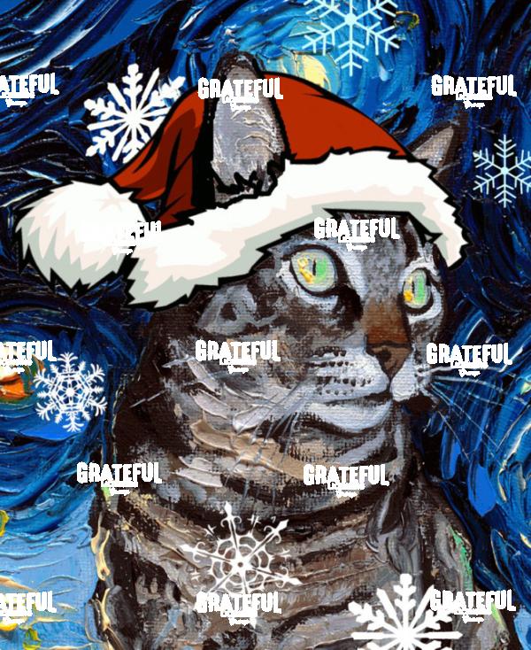 Santa Tabby