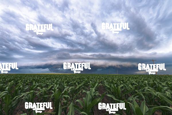 Cornfield Mesocyclone