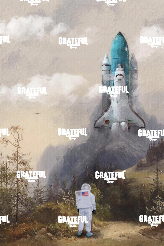 Missed the Shuttle