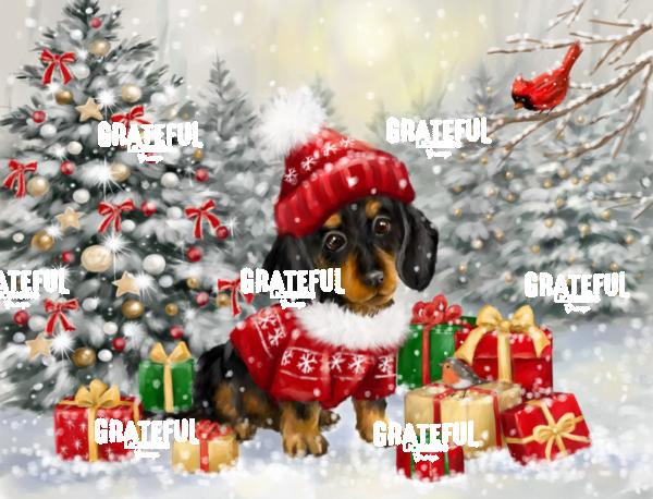Dachshound Christmas