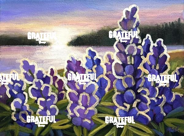 Sunlit Lupins