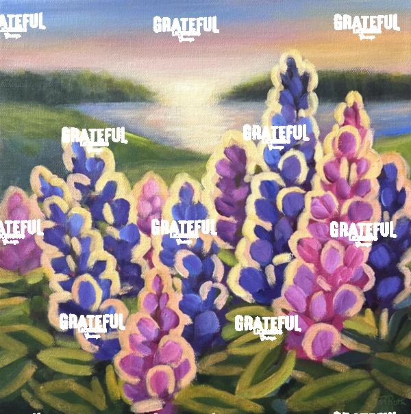 Late Afternoon Lupins