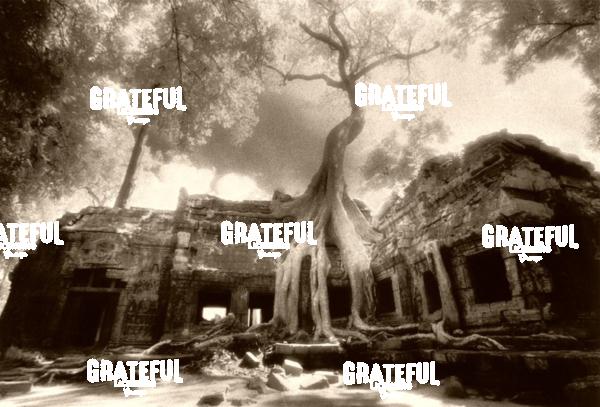 ta prohm in angkor wat