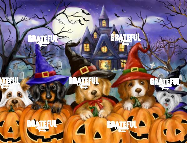 Halloween Puppies