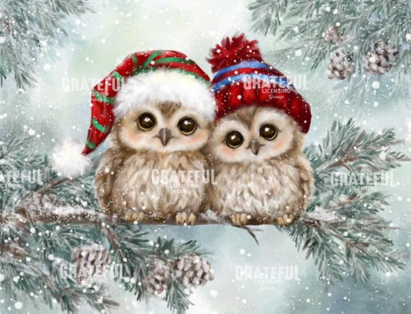 Christmas Owls