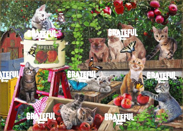 Cats Fun Puzzle 1A